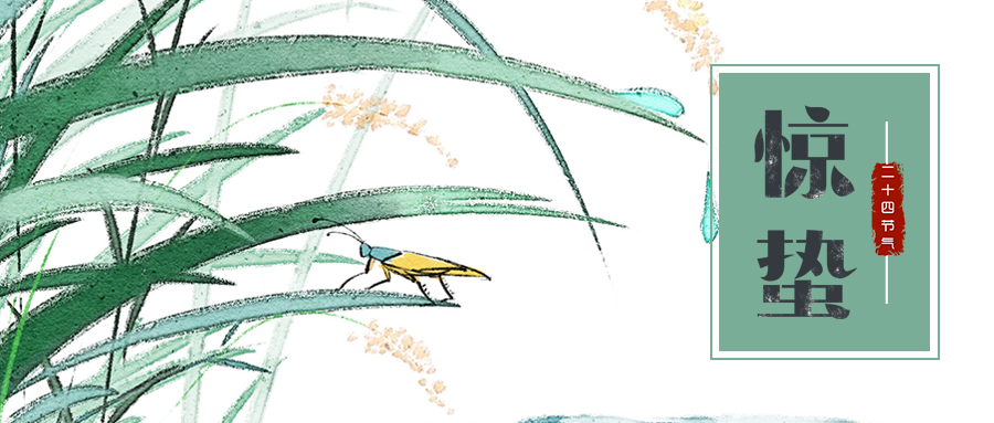 傳統(tǒng)農(nóng)業(yè)的轉(zhuǎn)變在于打造科技、智能化農(nóng)業(yè)